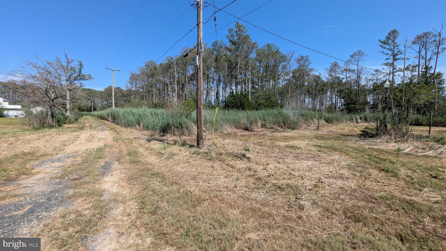 3012 William Maddox Rd Property Photo 9