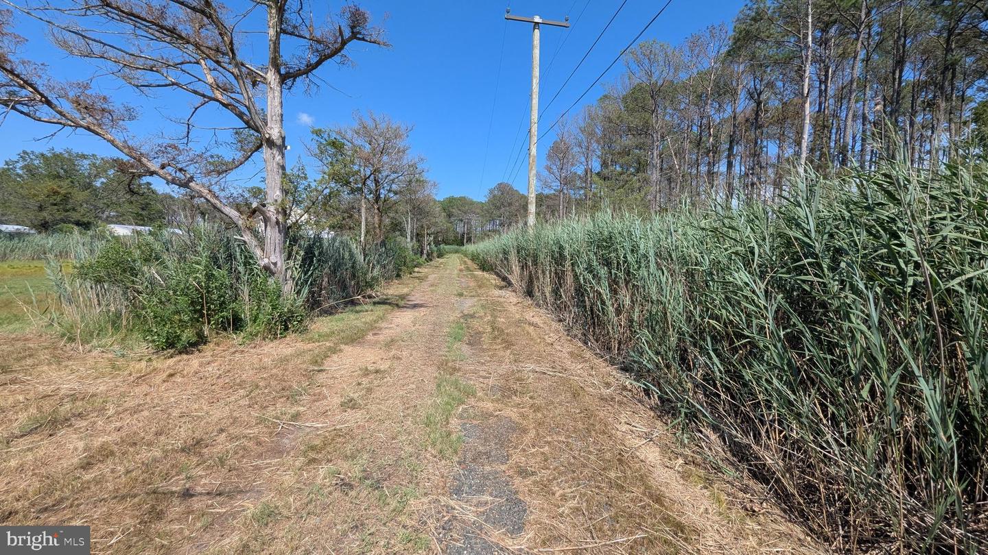 3012 William Maddox Rd Property Photo 10