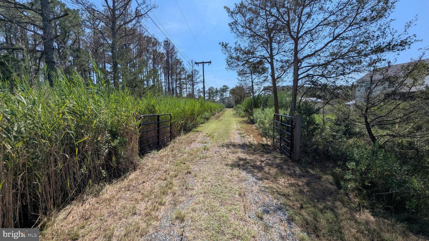 3012 William Maddox Rd Property Photo 12