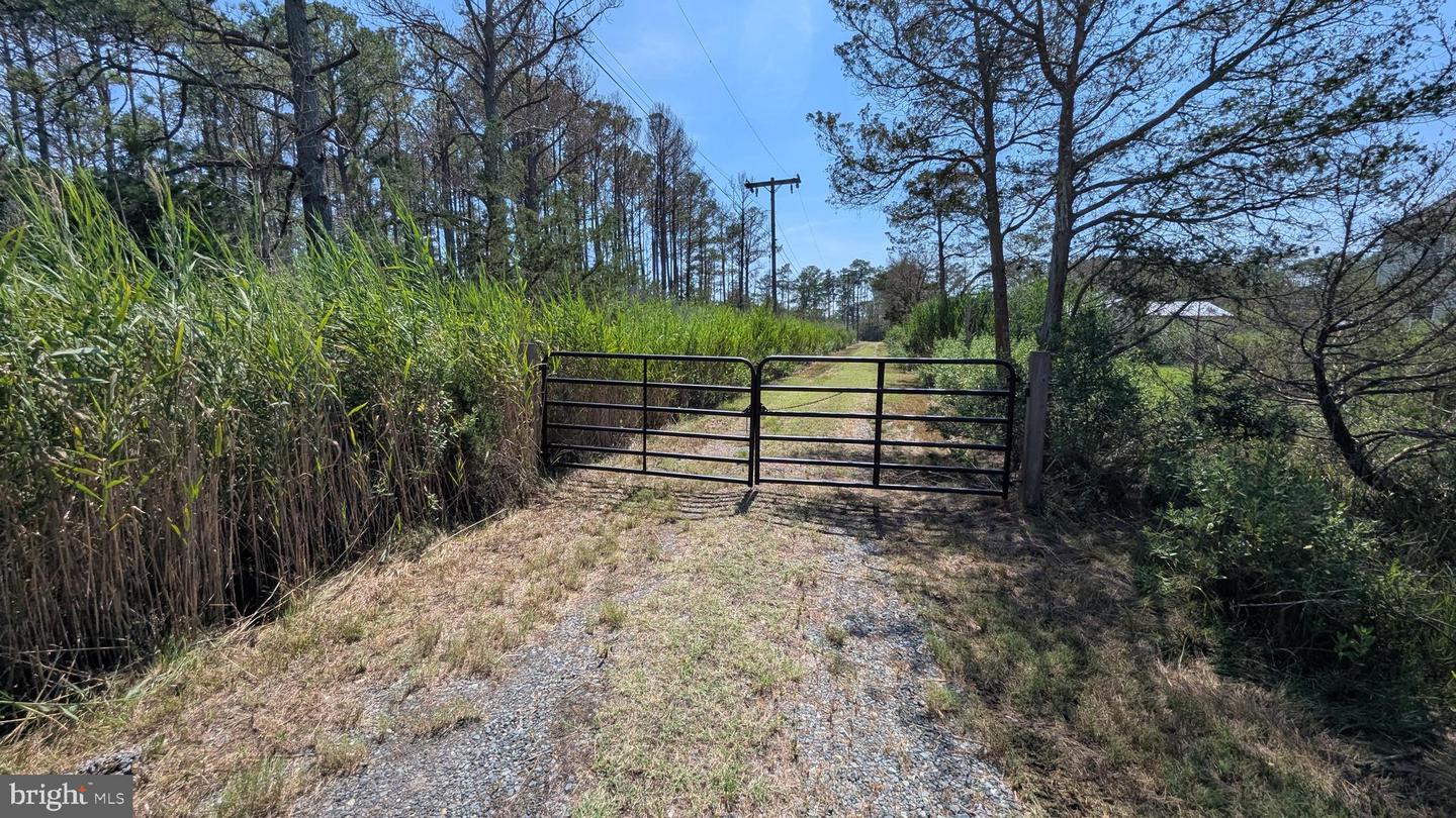 3012 William Maddox Rd Property Photo 14