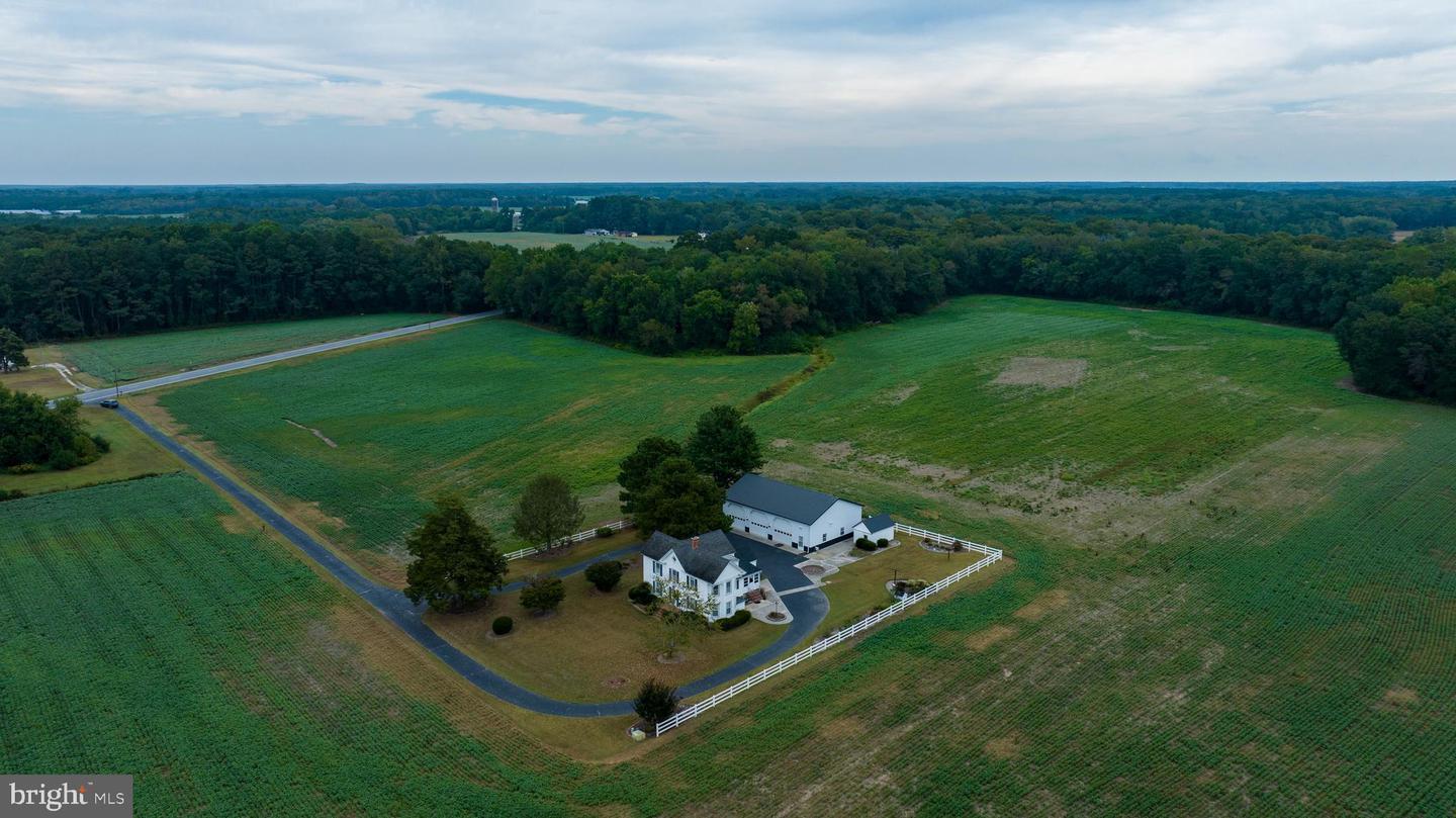 7751 Dividing Creek Property Photo 3