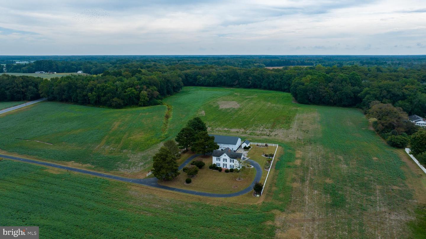7751 Dividing Creek Property Photo 4