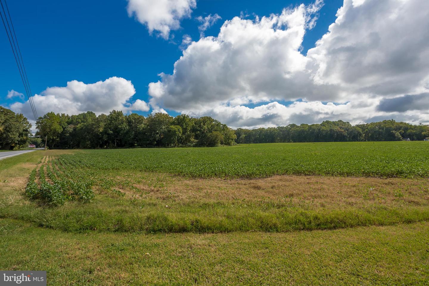7751 Dividing Creek Property Photo 7