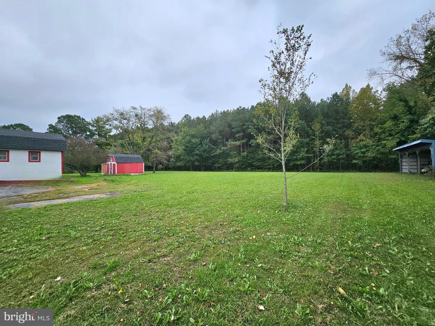 29769 Kingston Ln Property Photo 49