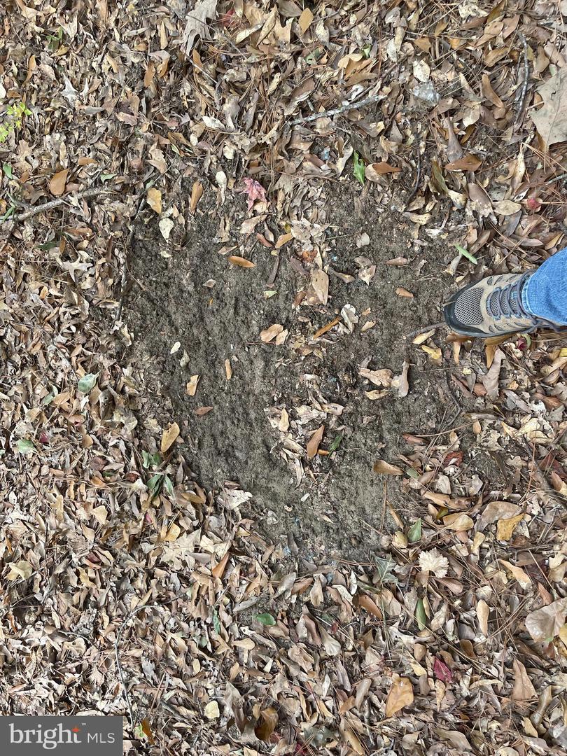 0 Whitehaven Ferry Rd Property Photo 23