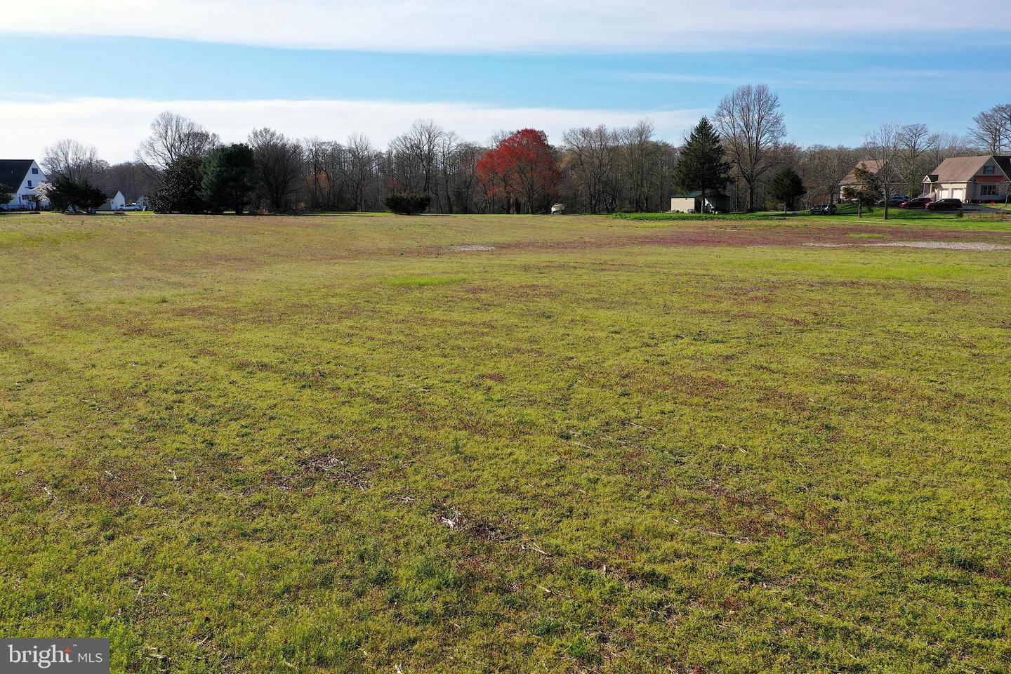 Lot 3 Peach Orchard Property Photo 10
