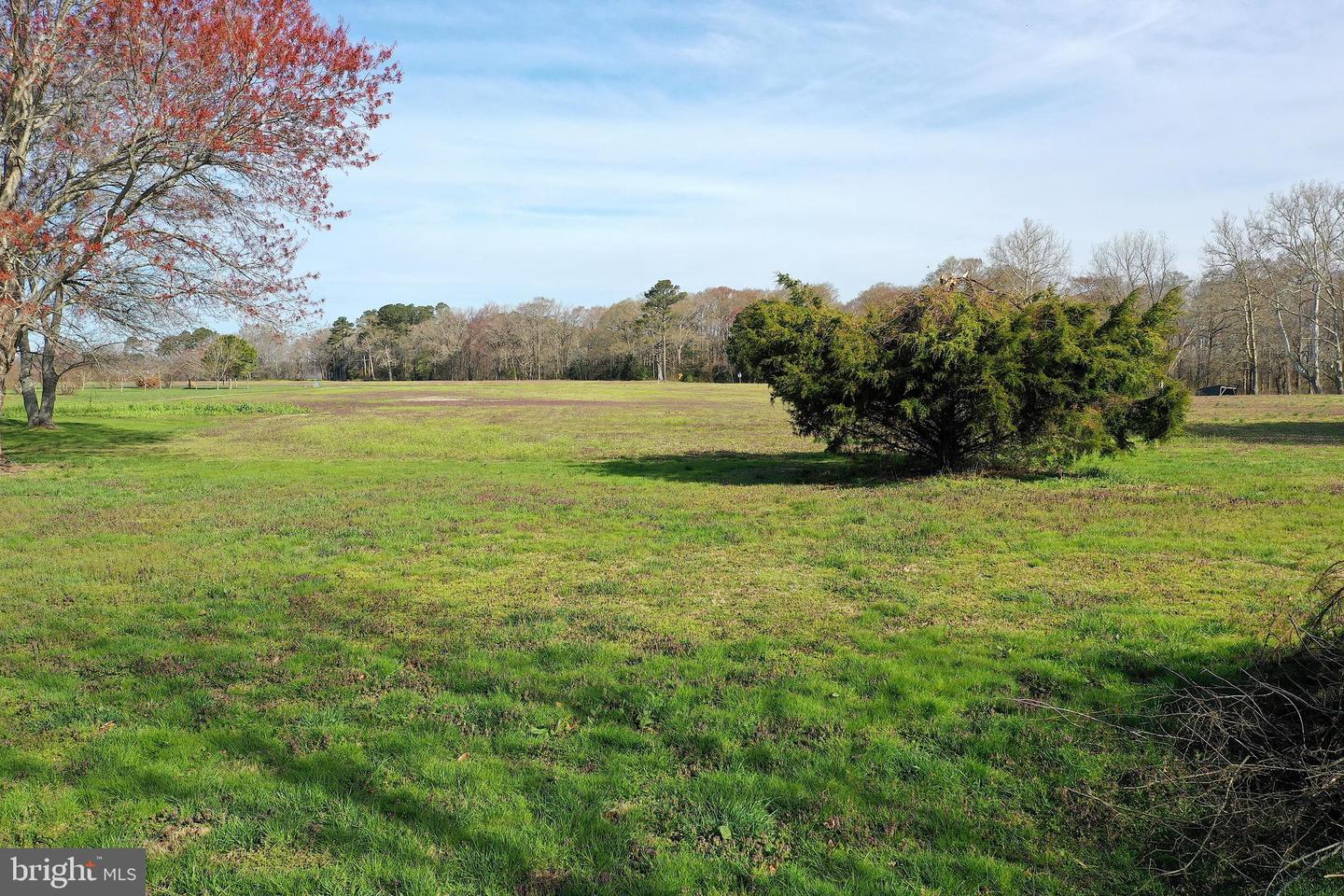 Lot 3 Peach Orchard Property Photo 15