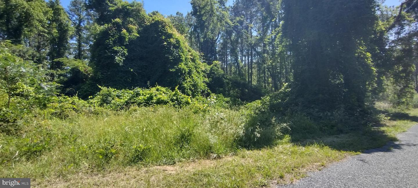 4064 Back Shelltown Rd Property Photo 1