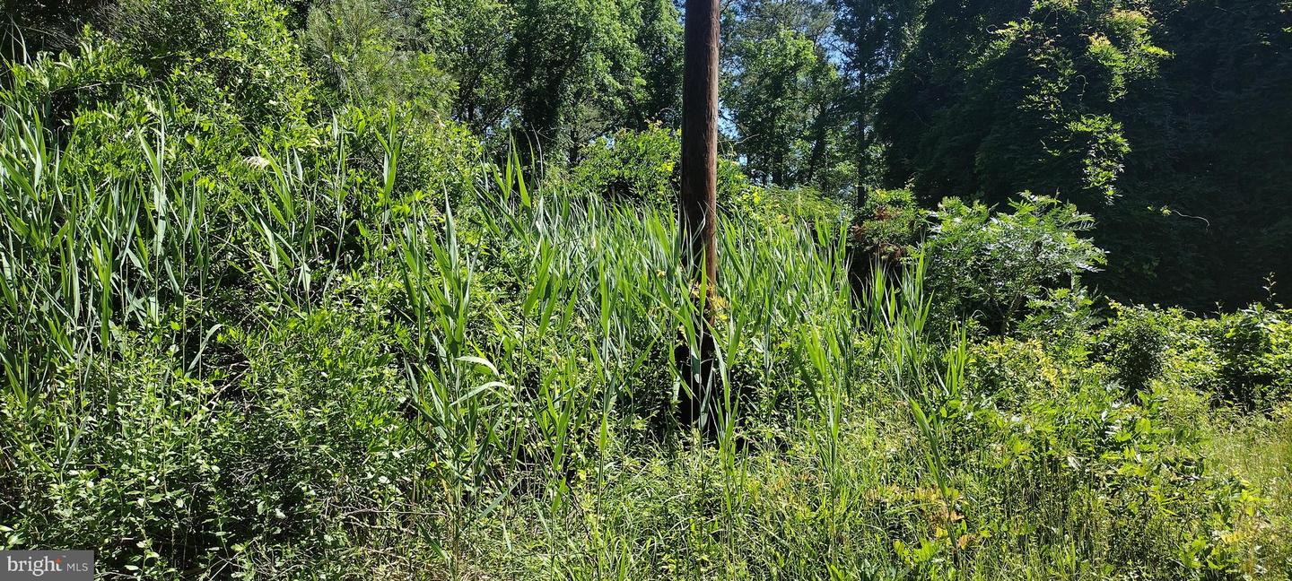 4064 Back Shelltown Rd Property Photo 2