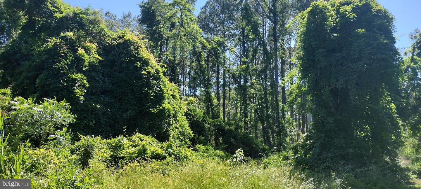 4064 Back Shelltown Rd Property Photo 3