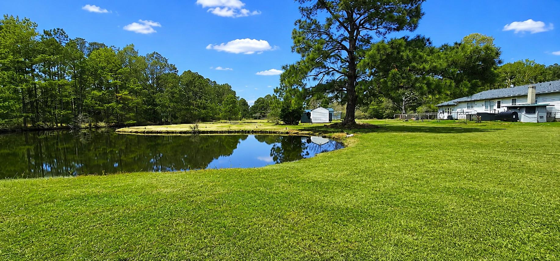 27351 Phoenix Church Rd Property Photo 14