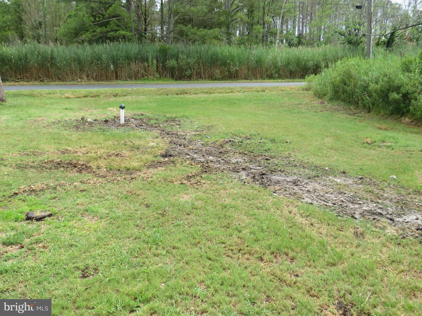 2815 Calvary Rd Property Photo 23