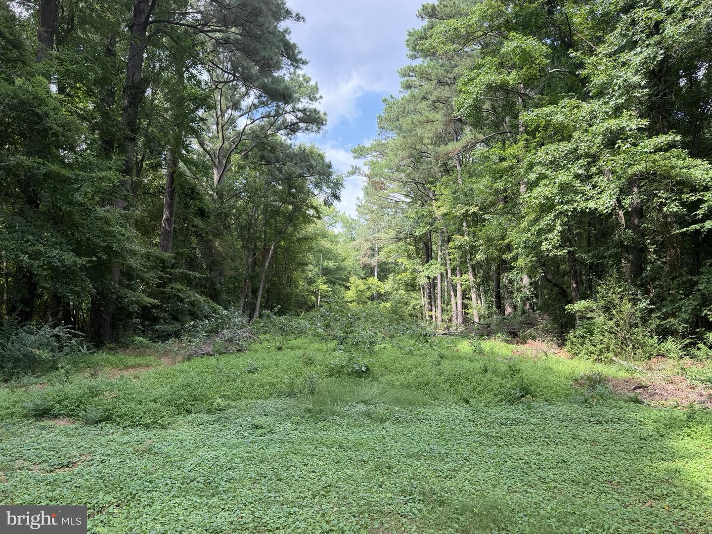 27834 Fairmount Property Photo 6