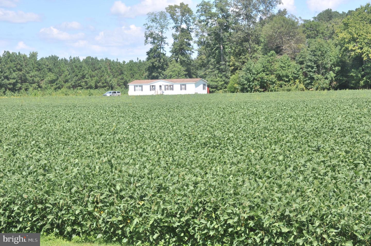 7273 Mennonite Church Rd Property Photo 1