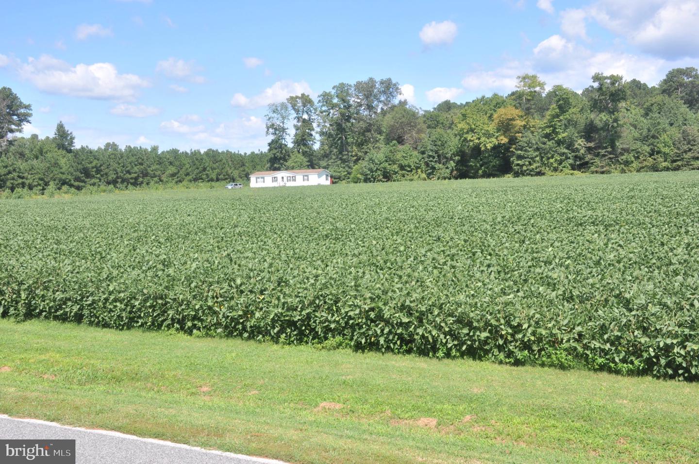 7273 Mennonite Church Rd Property Photo 4