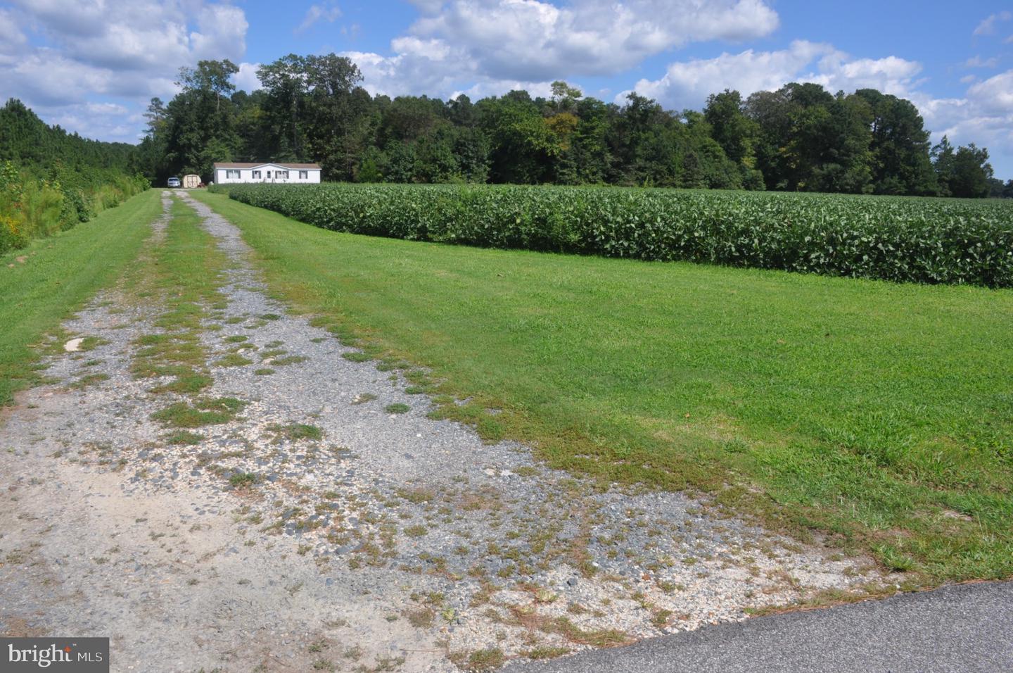 7273 Mennonite Church Rd Property Photo 6