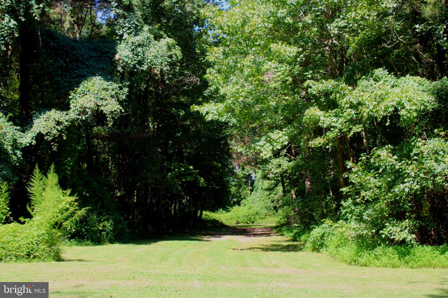 31008 Peggy Neck Rd Property Photo 8