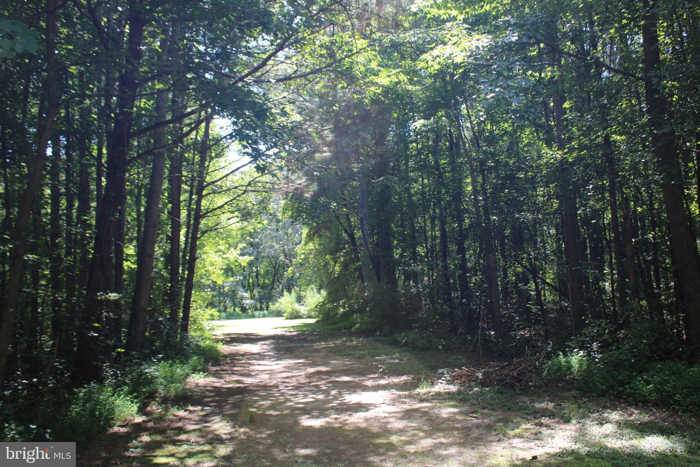 31008 Peggy Neck Rd Property Photo 9