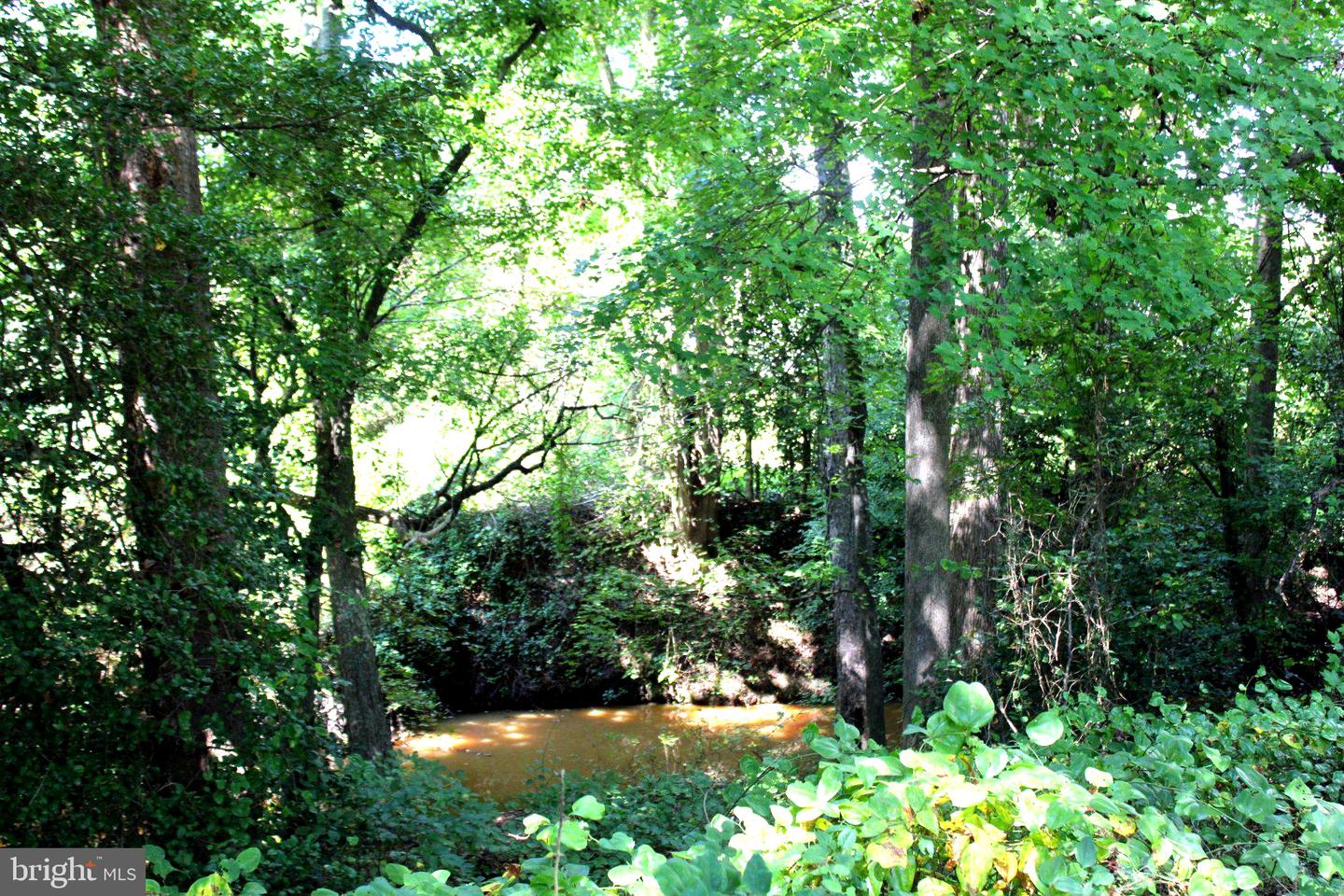 31008 Peggy Neck Rd Property Photo 10