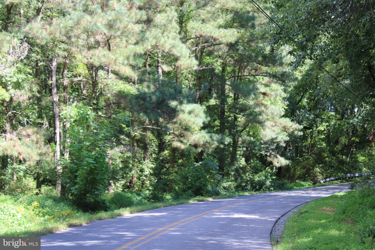 31008 Peggy Neck Rd Property Photo 13