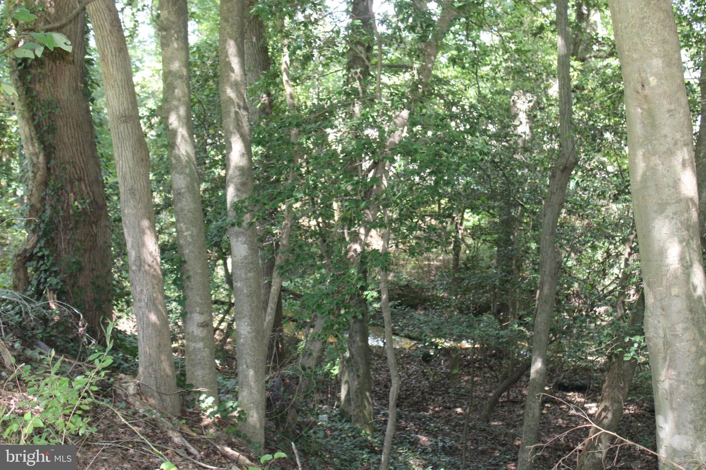 31008 Peggy Neck Rd Property Photo 15