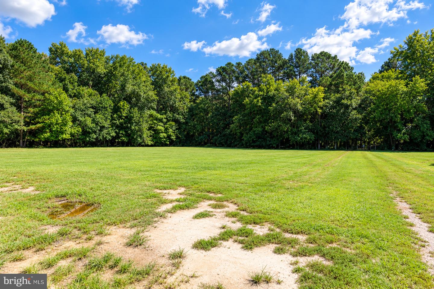 31901 Mitchell Rd Property Photo 10