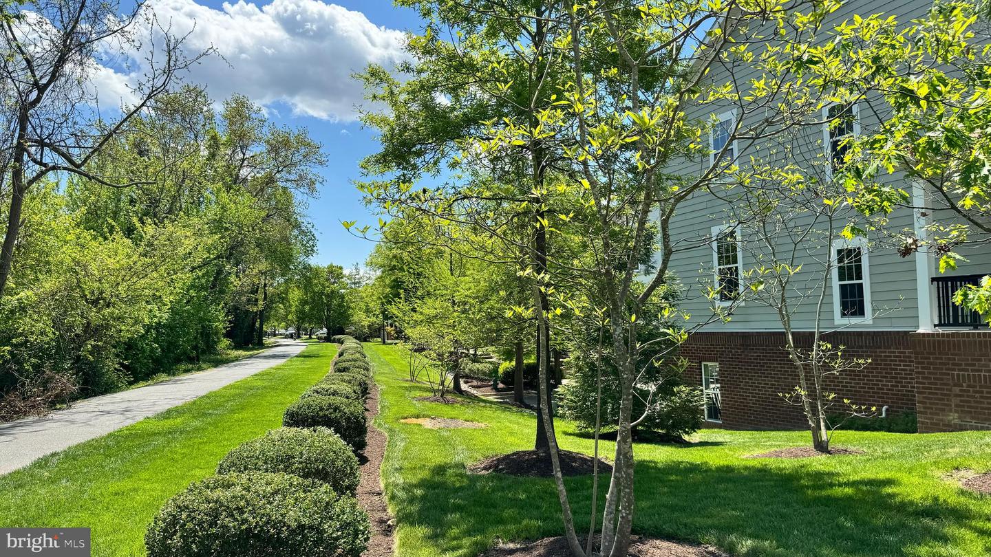 300 Dixon St #204 Property Photo 17