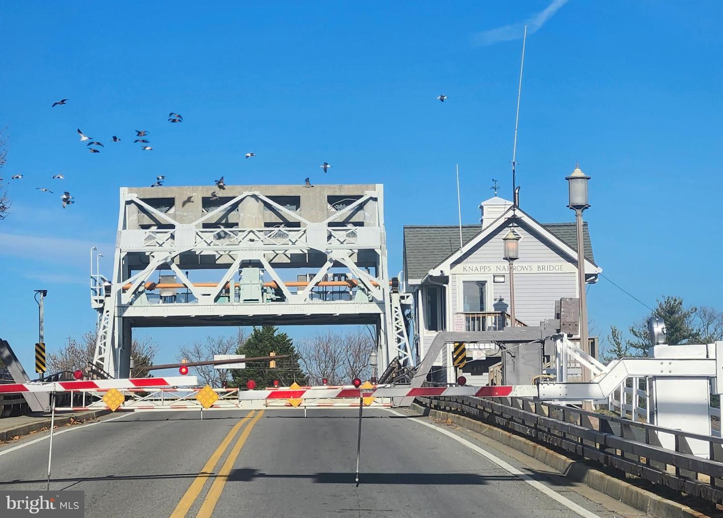 Lot 16a Meadow St Property Photo 4