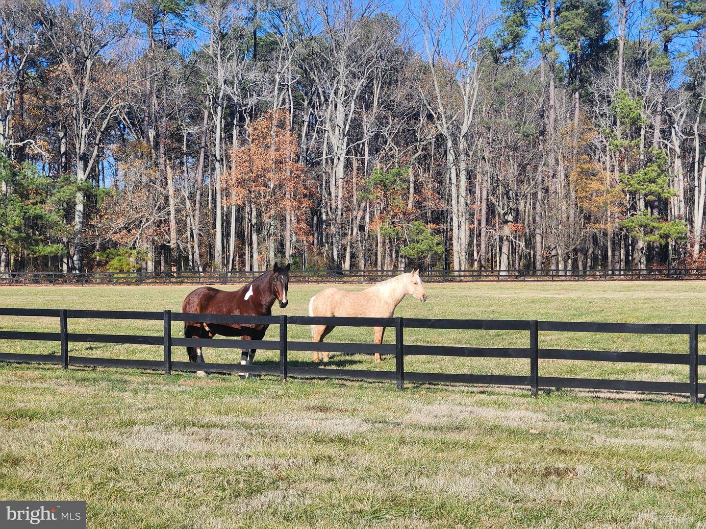 Lot 16a Meadow St Property Photo 16