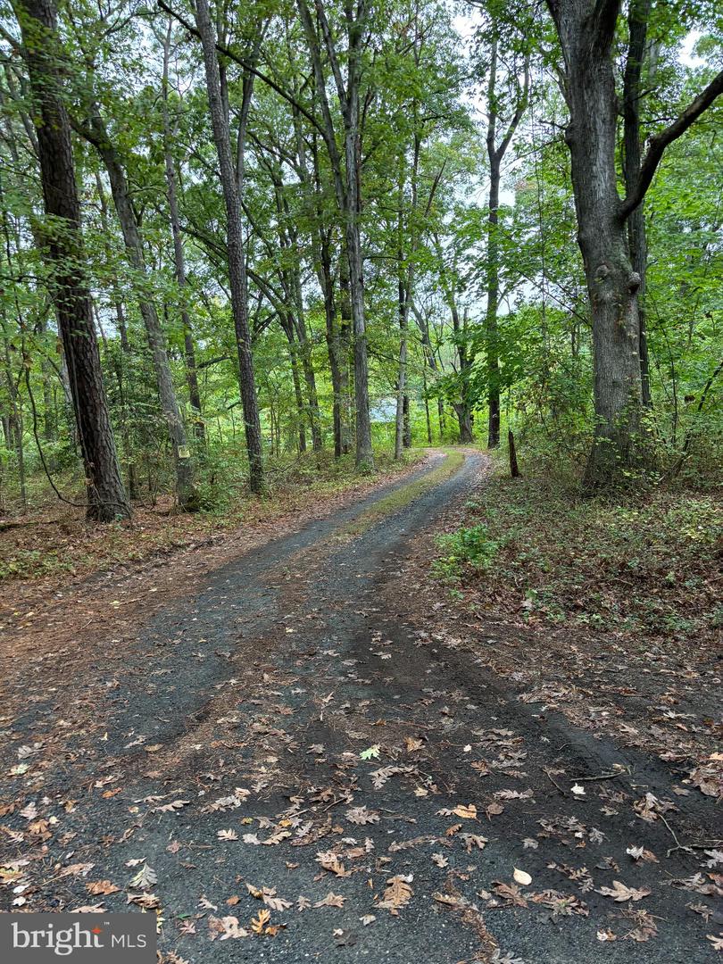21747 Cabin Ln Property Photo 1
