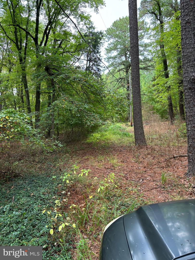 21747 Cabin Ln Property Photo 6