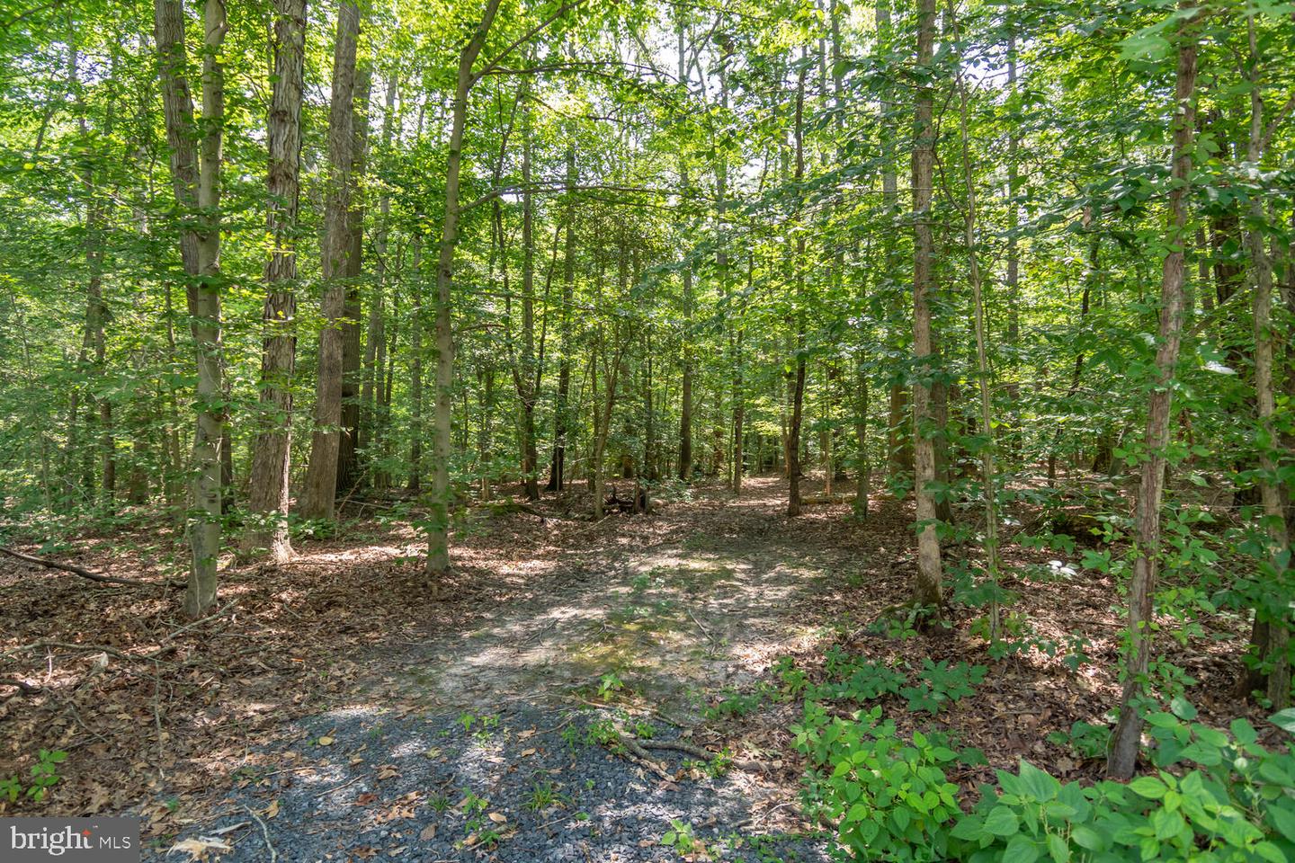 Boston Cliff Rd Property Photo 1