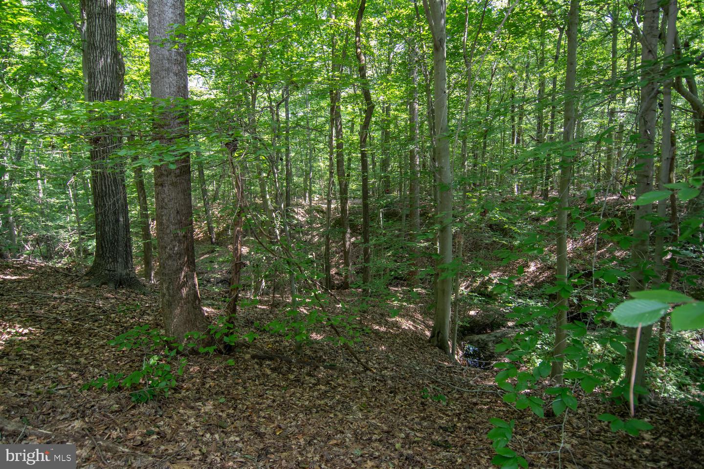 Boston Cliff Rd Property Photo 5