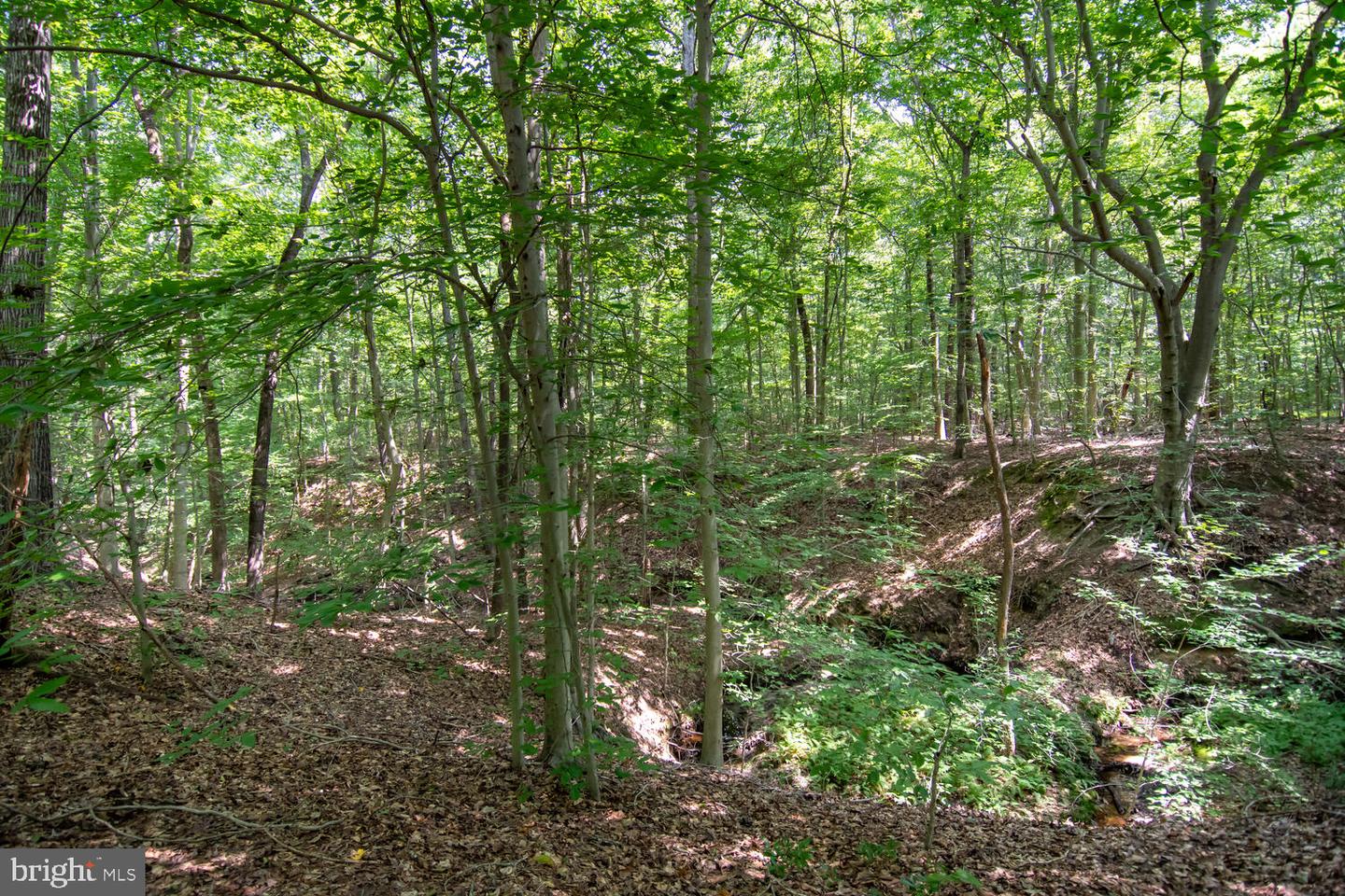 Boston Cliff Rd Property Photo 6
