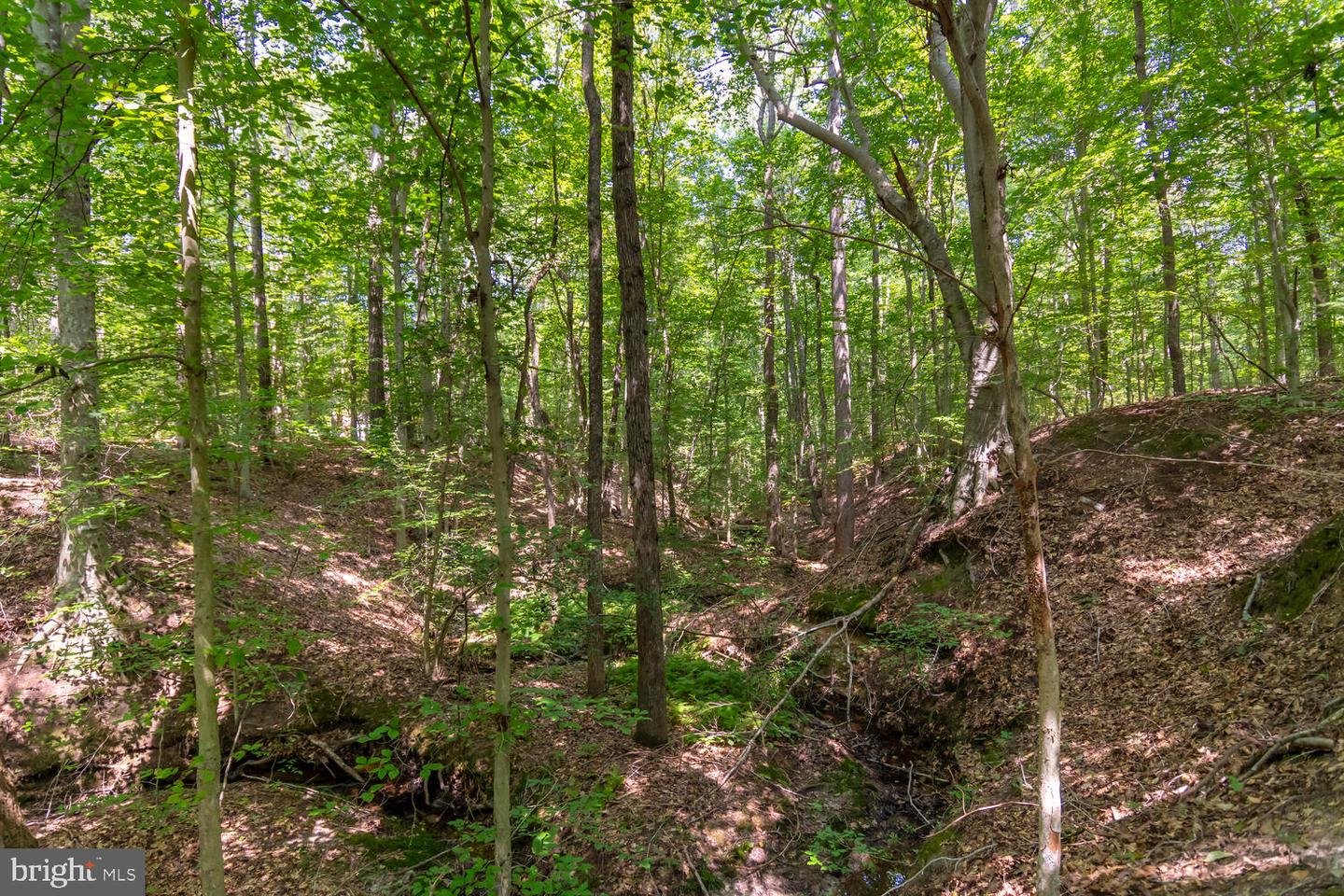 Boston Cliff Rd Property Photo 17