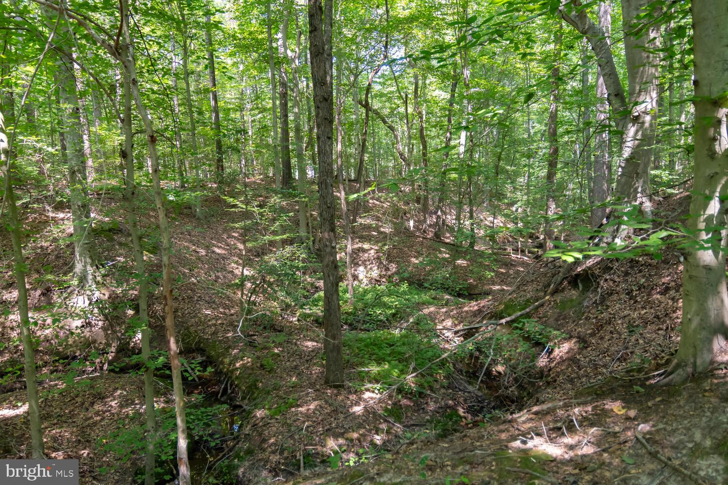 Boston Cliff Rd Property Photo 19