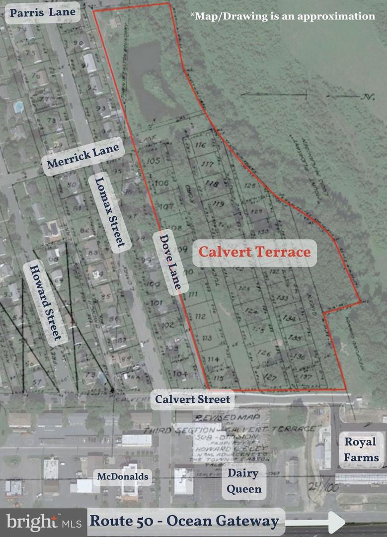Calvert Street Property Photo 4