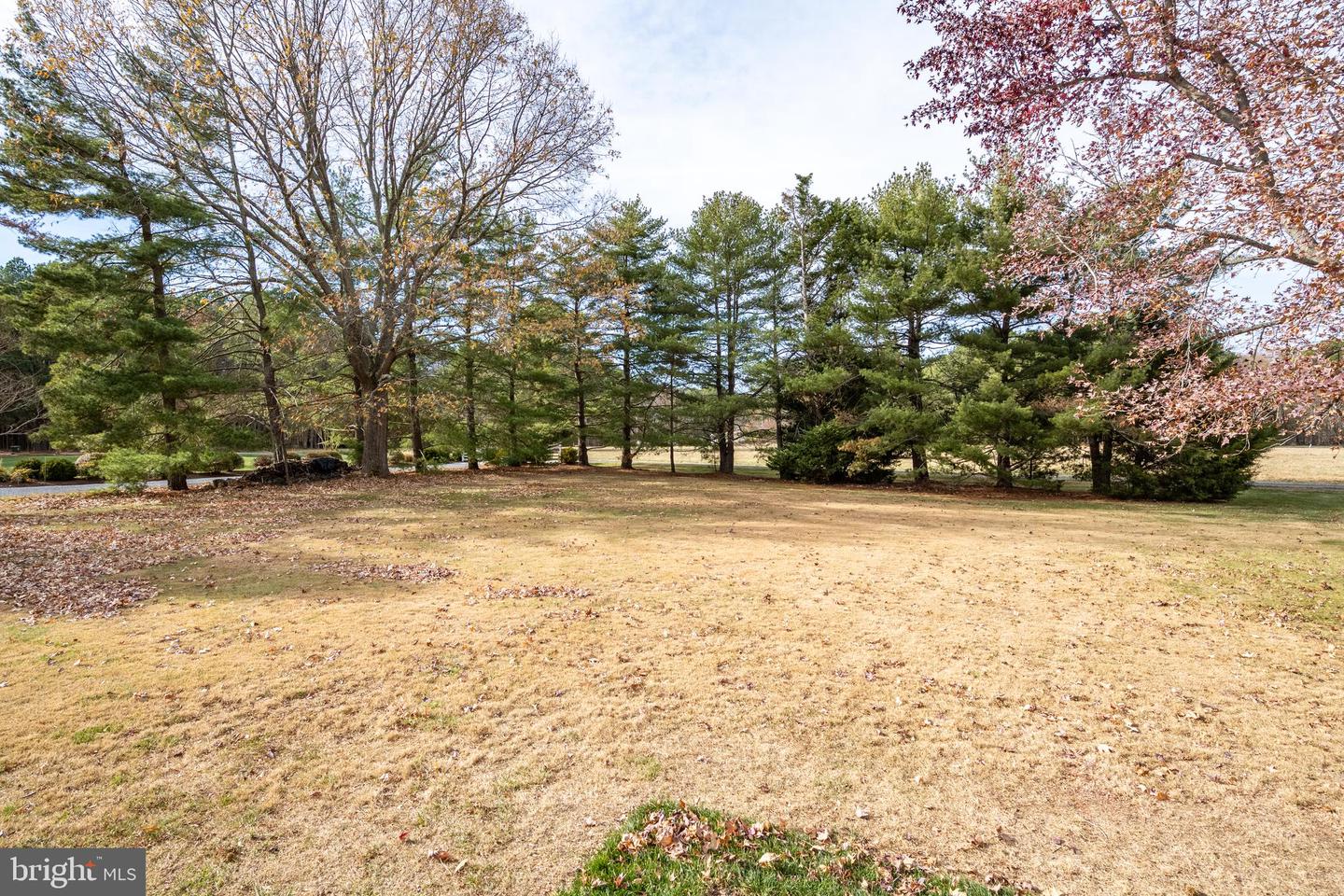 9175 Mallard Point Ct Property Photo 96
