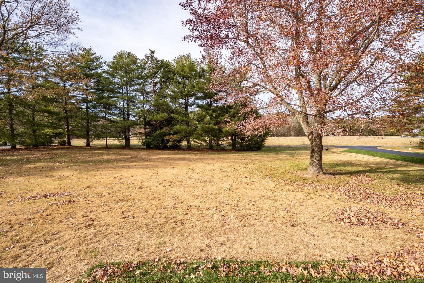 9175 Mallard Point Ct Property Photo 97