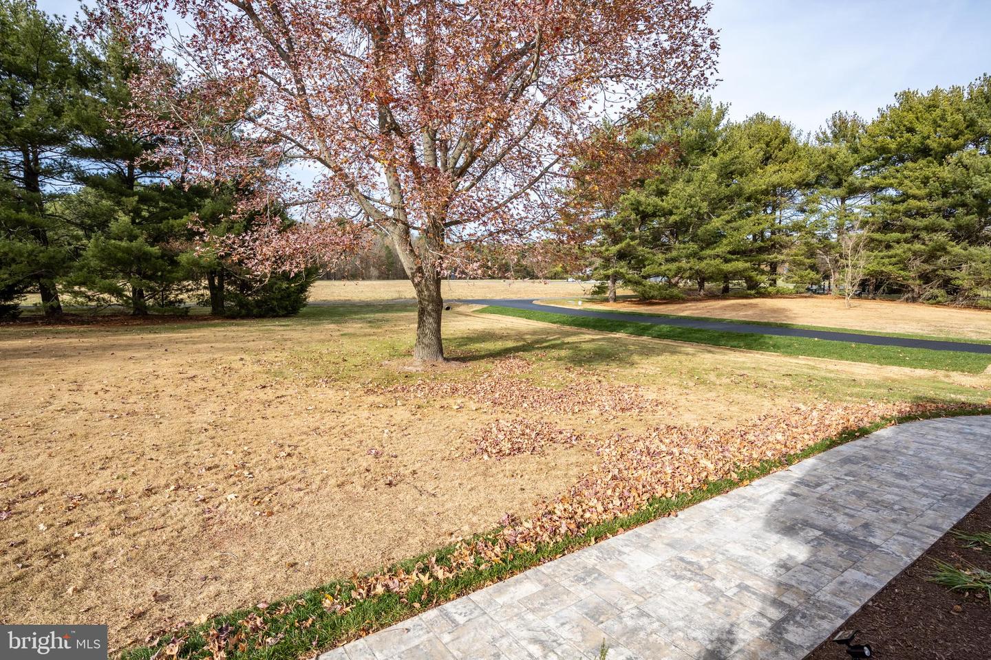 9175 Mallard Point Ct Property Photo 98