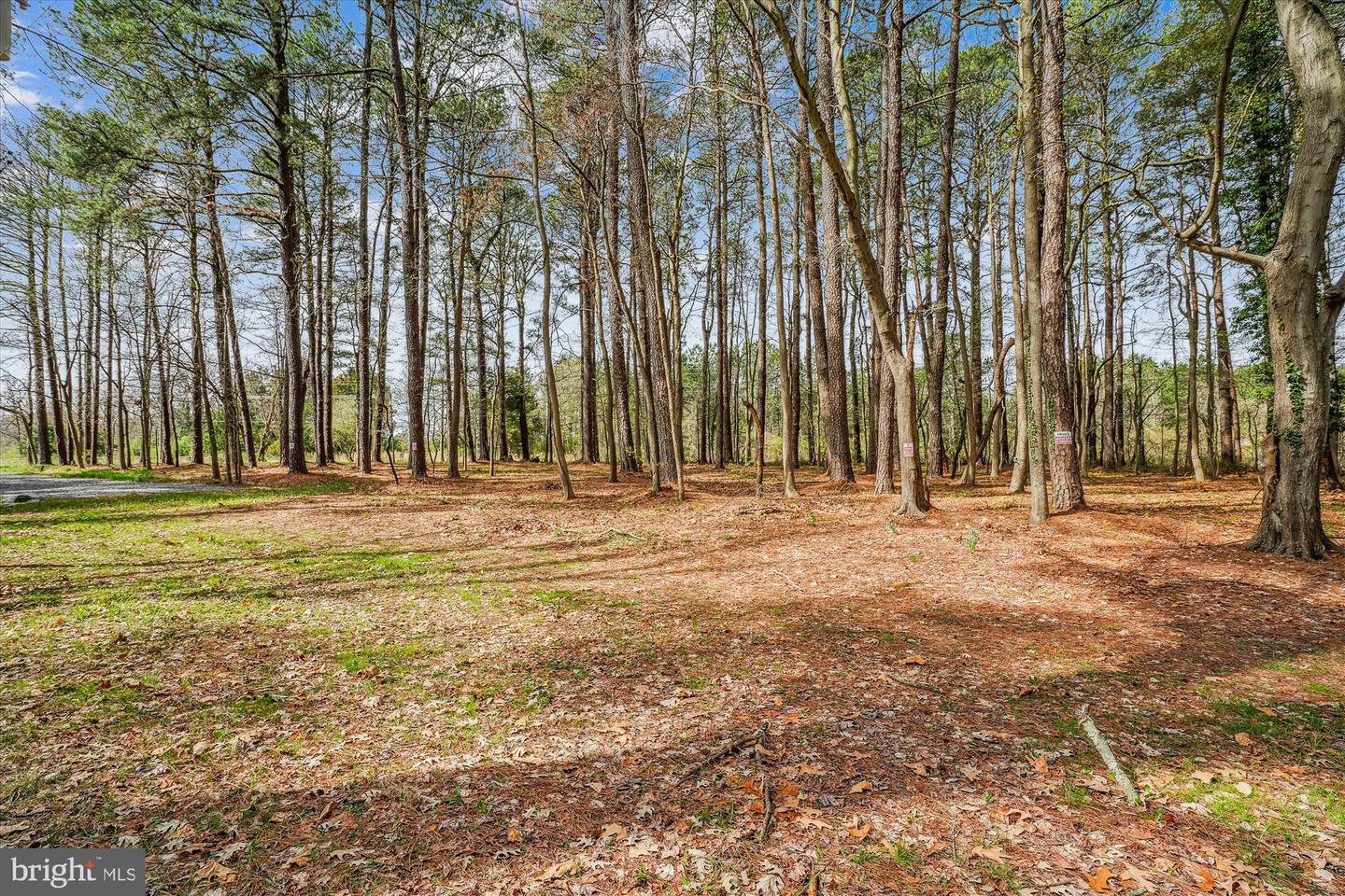 108 Miles Property Photo 8