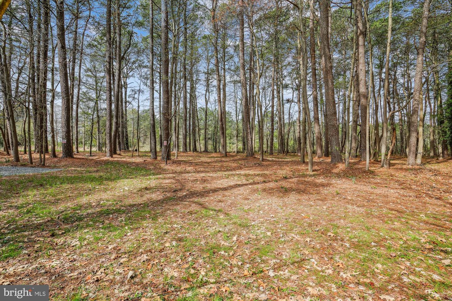 108 Miles Property Photo 9