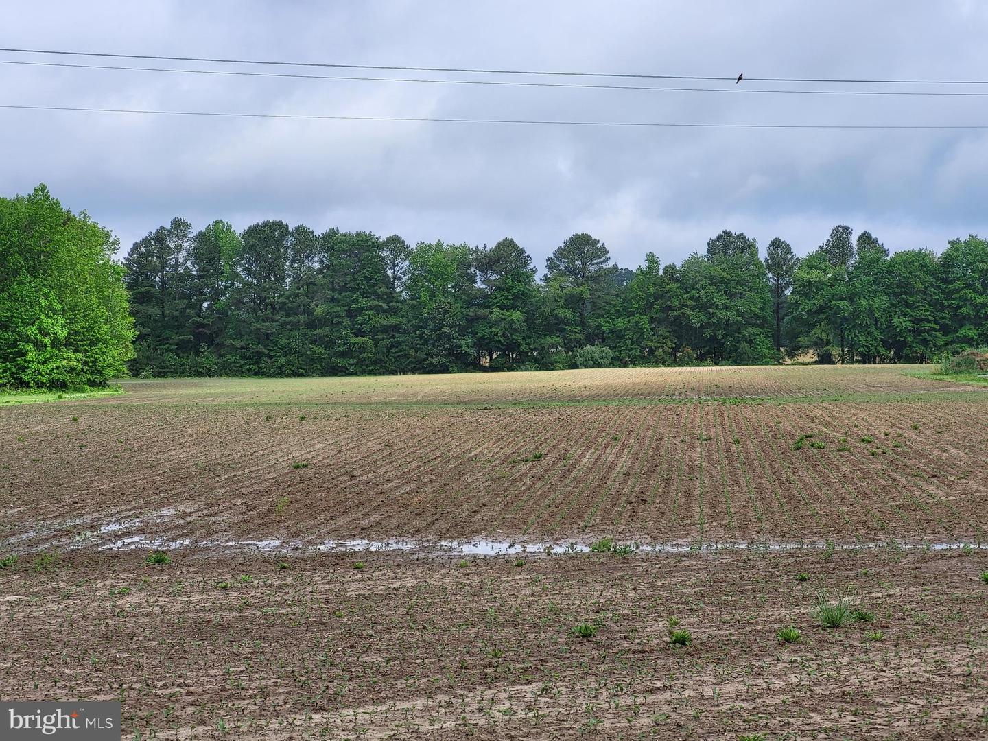 Lot A Blades Rd Property Photo 1