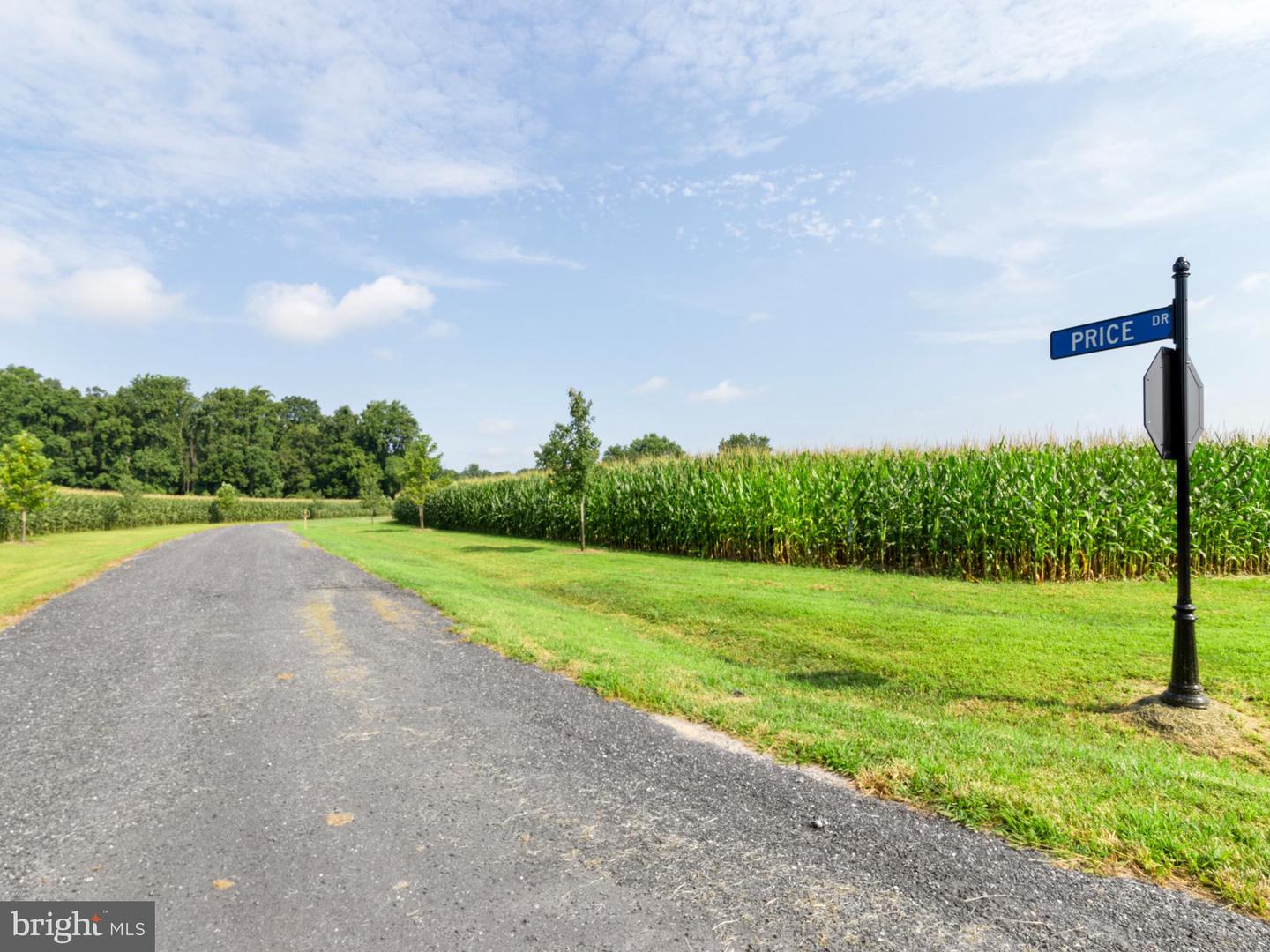 Lot 12 Price Dr Property Photo 7