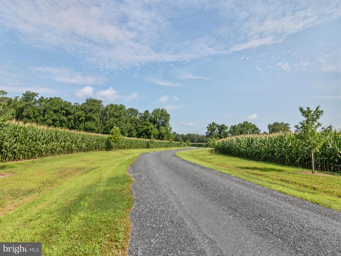 Lot 12 Price Dr Property Photo 8