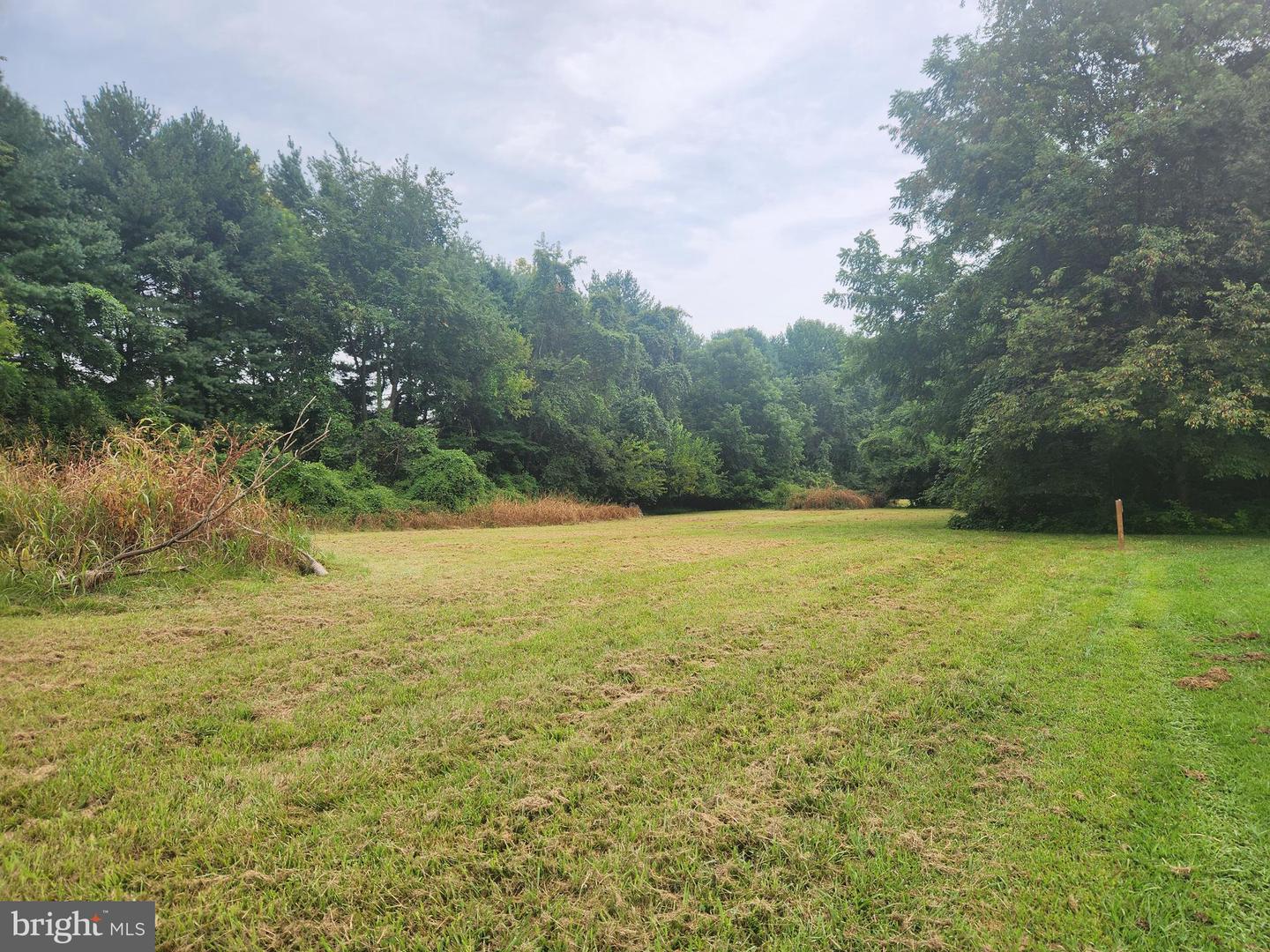 13433-13433 Ocean Gateway #lot 1 Property Photo 1