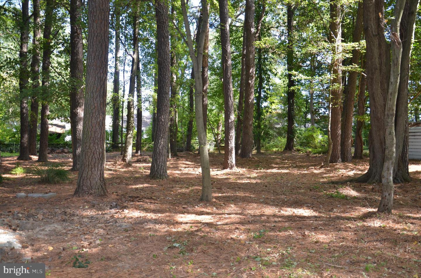 912 Calvert Ave. Property Photo 1