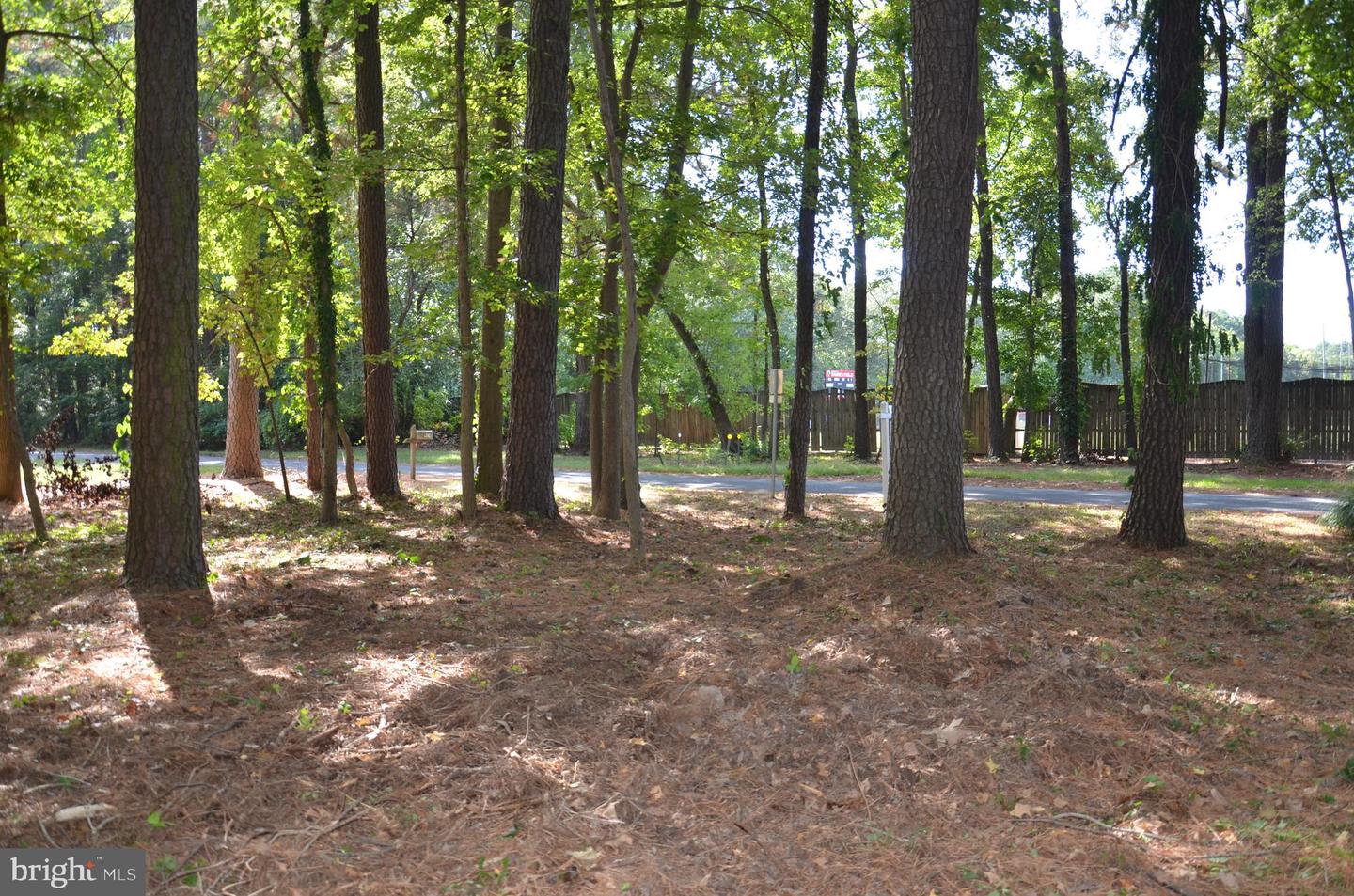 912 Calvert Ave. Property Photo 3
