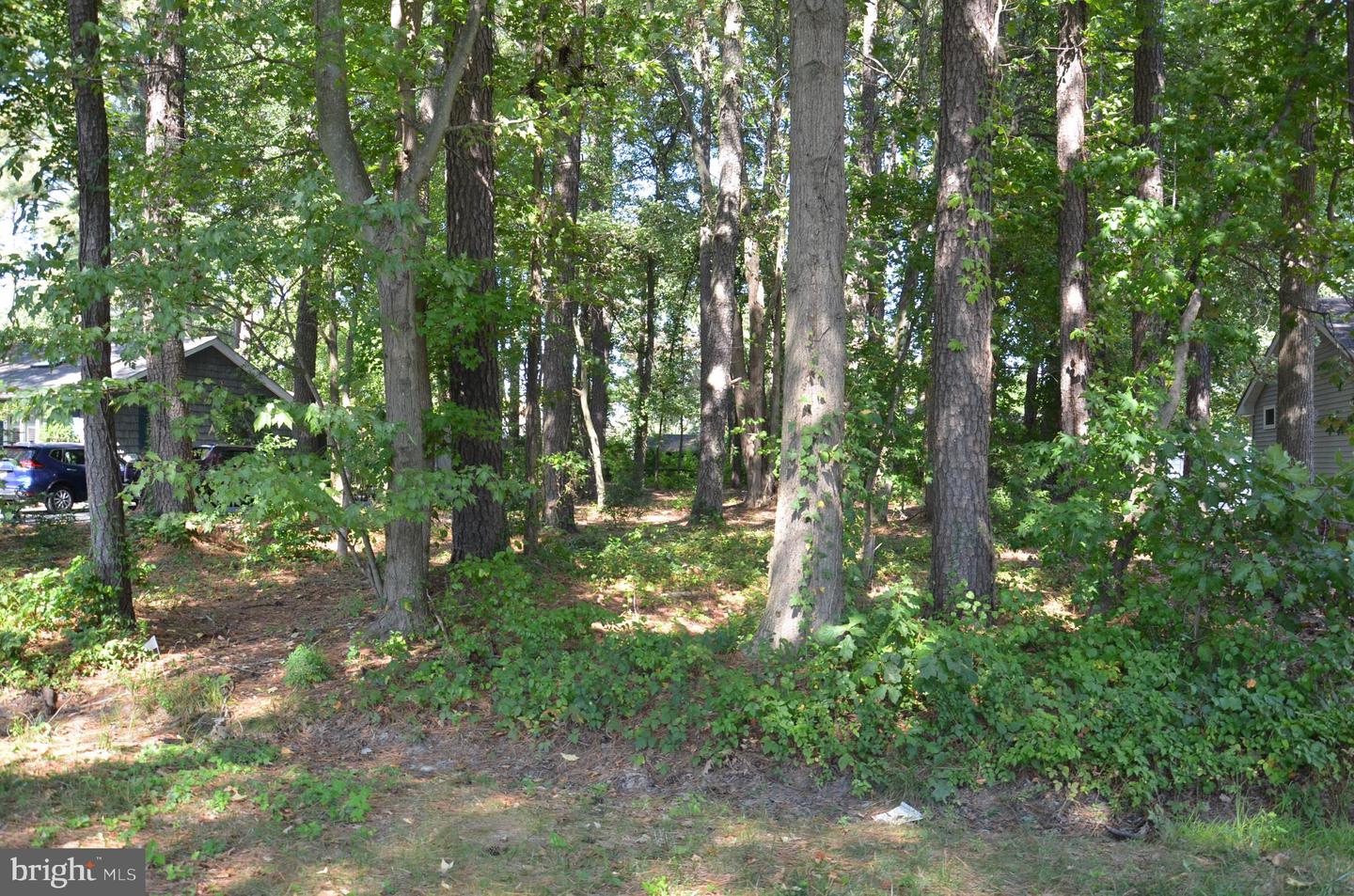 912 Calvert Ave. Property Photo 4