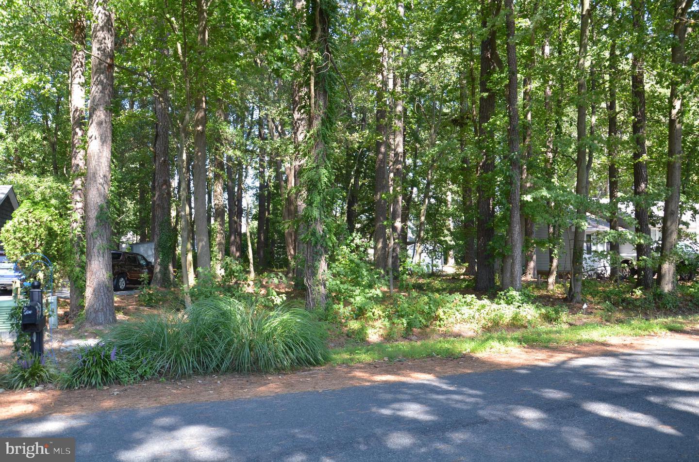 912 Calvert Ave. Property Photo 5